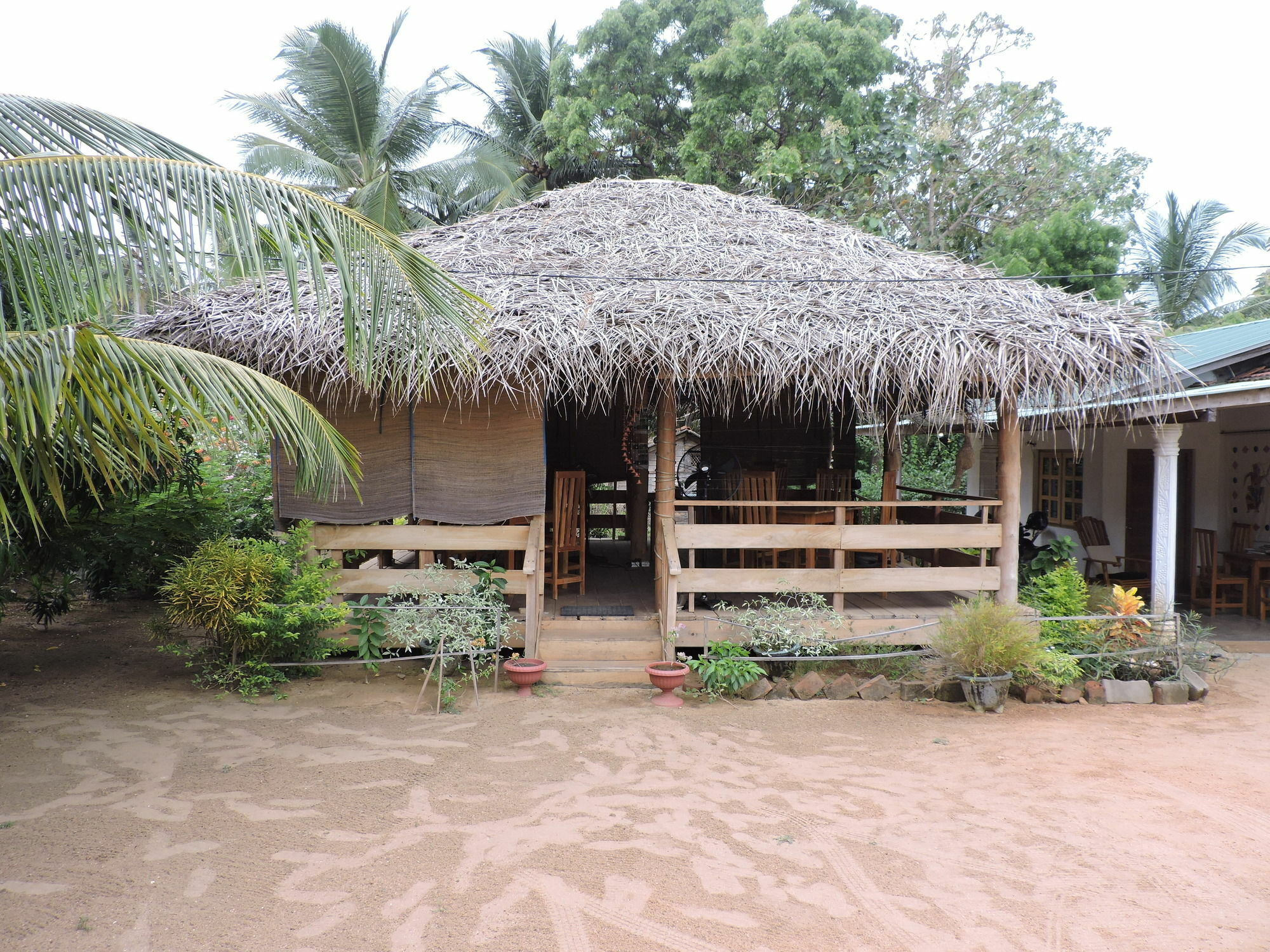 Coco Bay - Arugam Bay Hotel Exterior photo